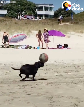 德信体育- 特拉帕尼海滩训练引围观，独特备战方式吸睛  